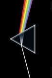 Pink Floyd Poster Maxi (61x91.5 cm)
