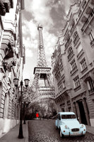 Paris Poster Maxi (61x91.5 cm)
