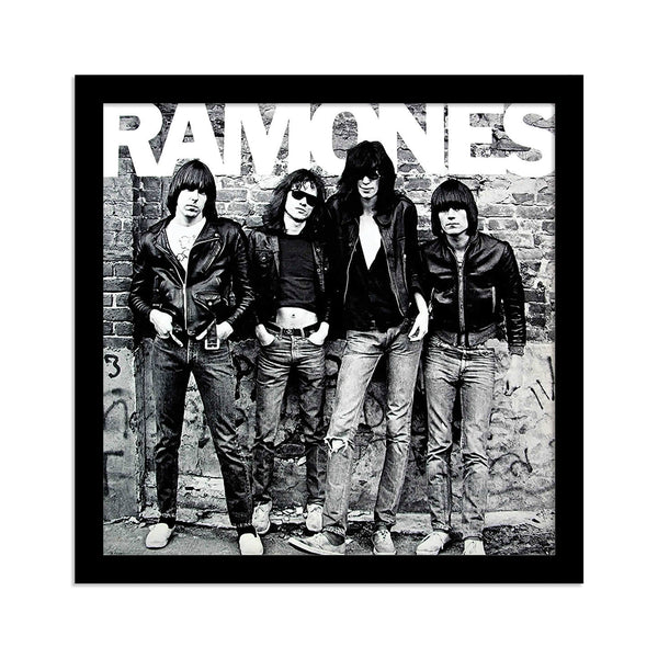 RAMONES / Рамка со слика Vinyl Cover (31.5x31.5 cm)